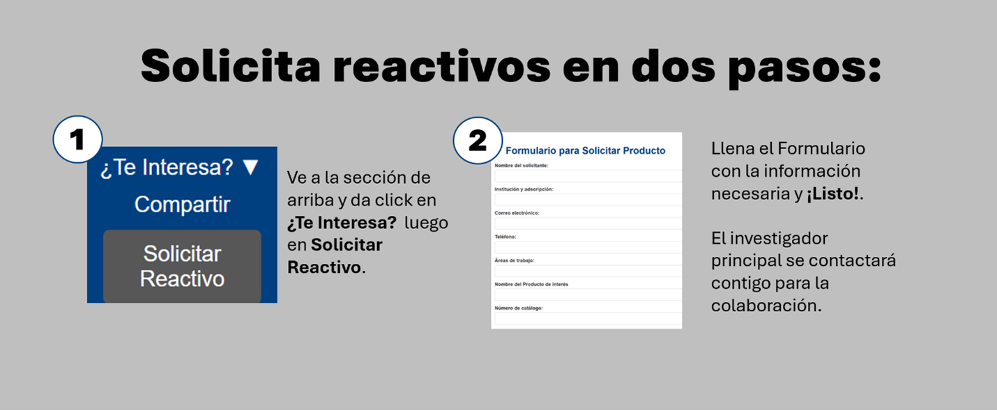 Descripción de la imagen